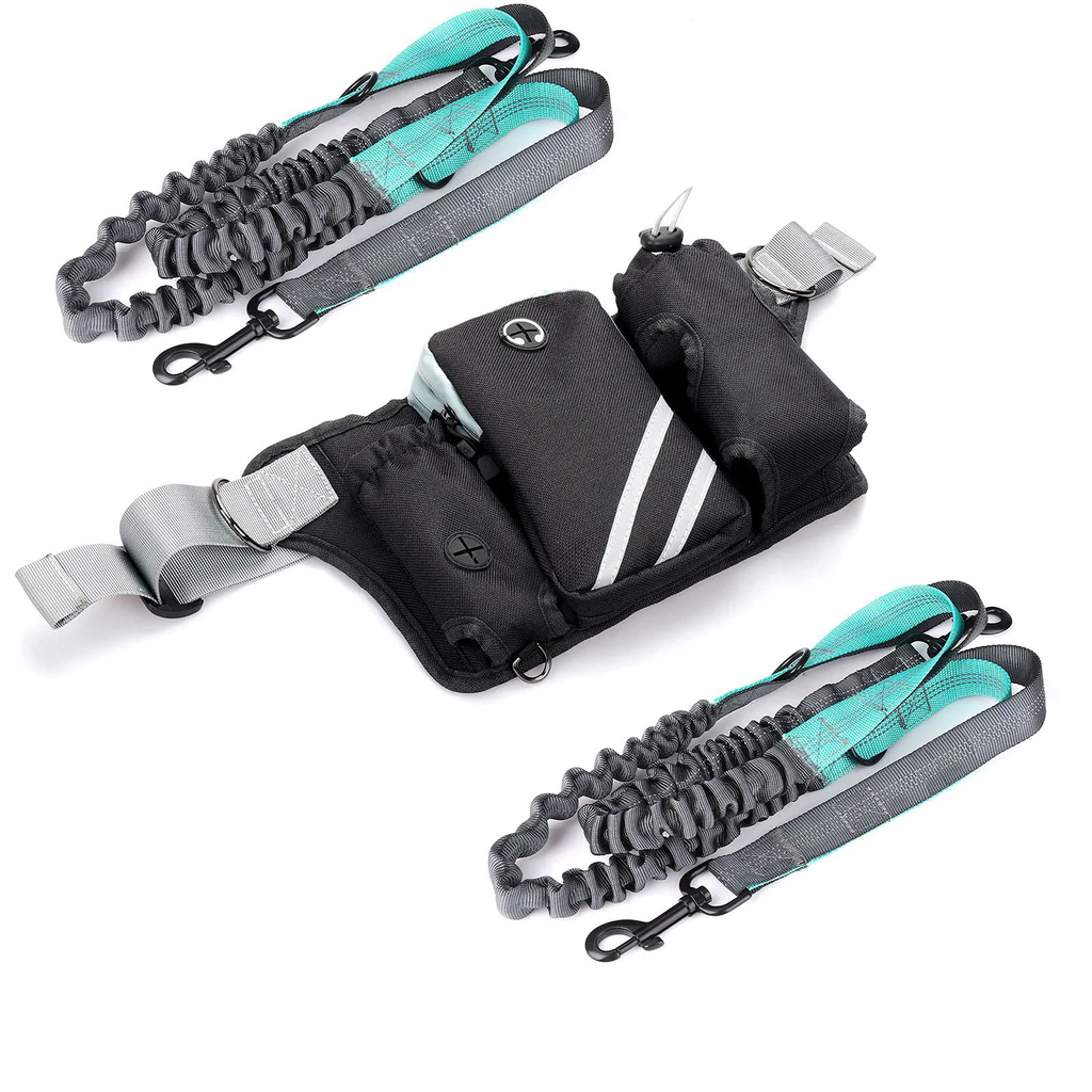 Hands-Free Dog Walking Waist Pack