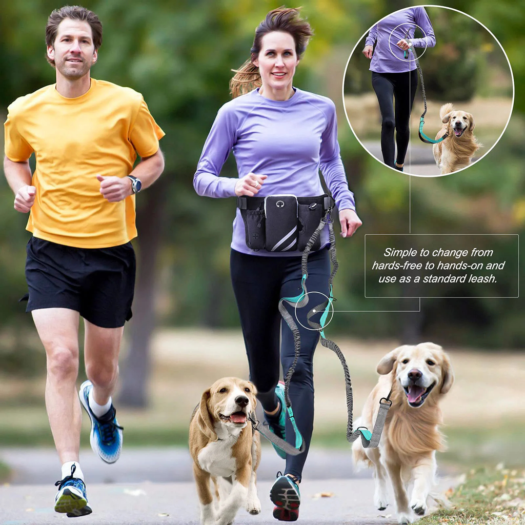 Hands-Free Dog Walking Waist Pack