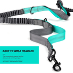 Hands-Free Dog Walking Waist Pack