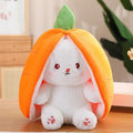 Reversible Cuddly Bunny