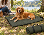 Roll-Up Dog Travel Mat at a picnic