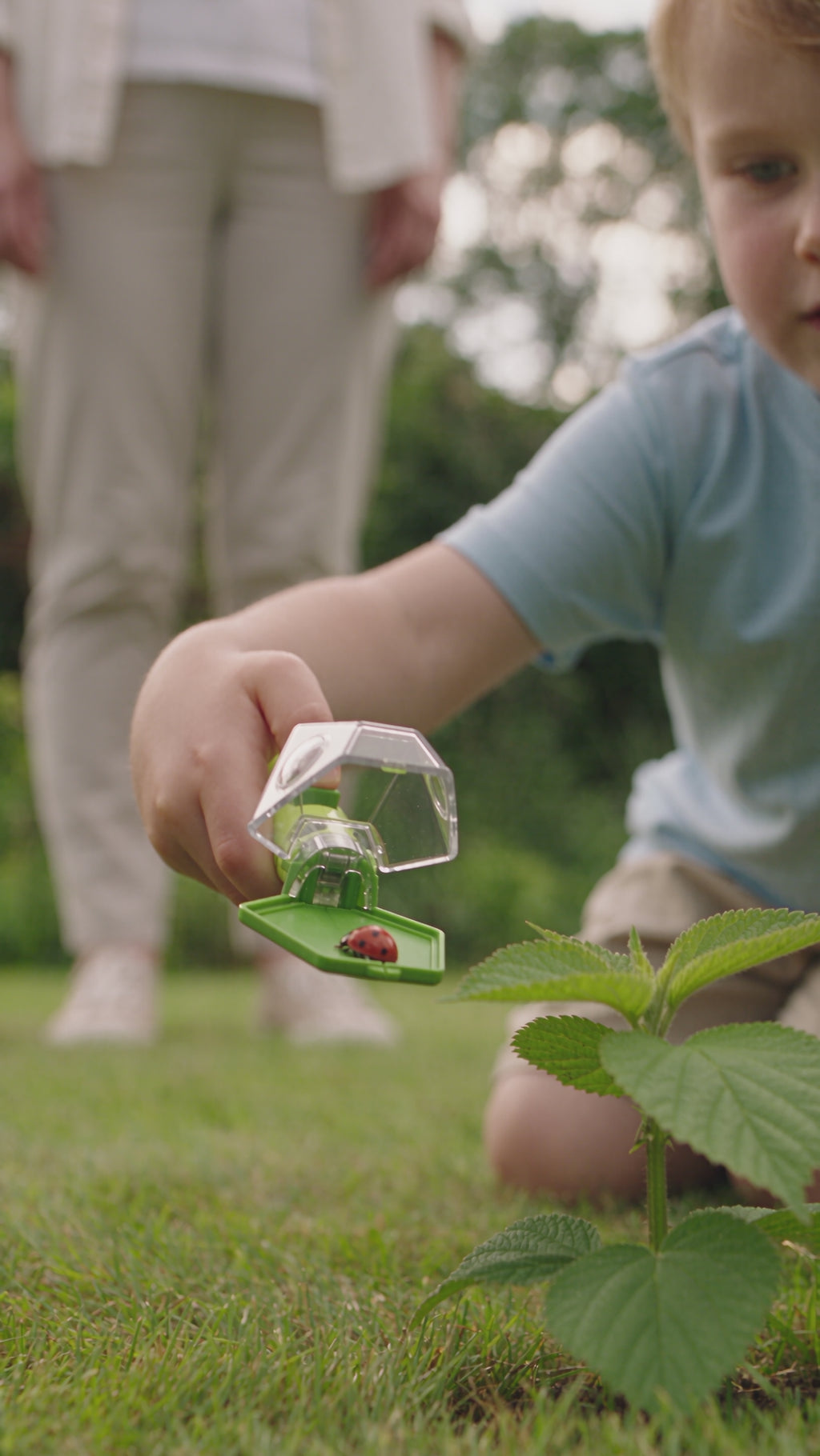 Portable Insect Catcher product video