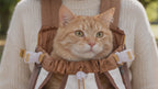 Cat Travel Front Carrier demonstration